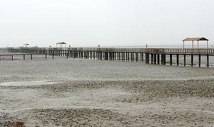 CDPR：不会染指不擅长的游戏 3A开放世界RPG将一直做下去